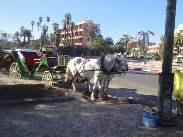 Apartamento La Fontaine Marrakesh Exterior foto